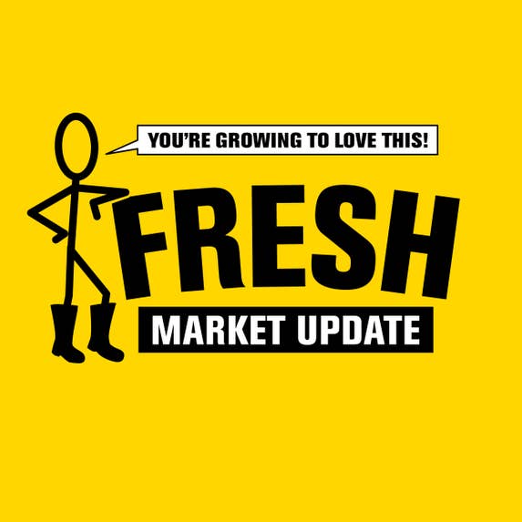 FS132473 - PNSNZ_Fresh Market Update_1200x1200