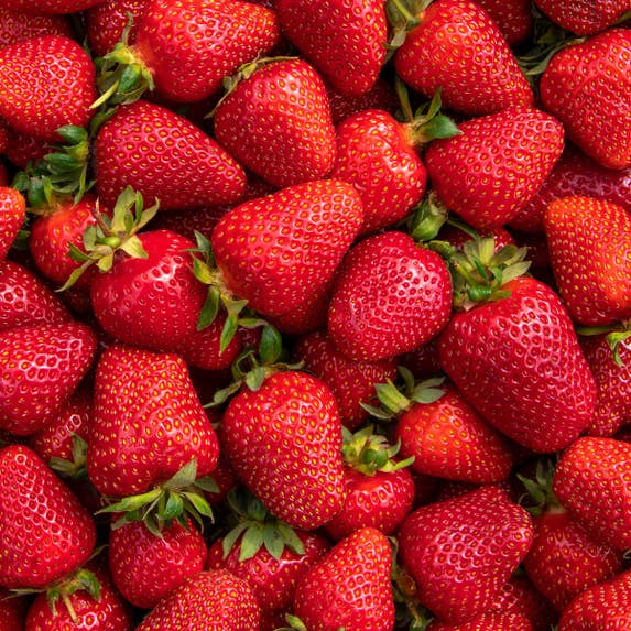 FS27958 - PNSNZ - Image Downloads 1200x1200 - 2