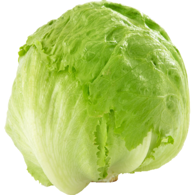 Bagged Iceberg Lettuce