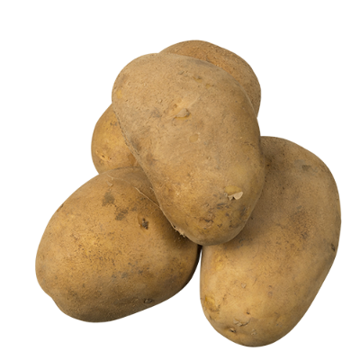 Yellow Agria Potatoes