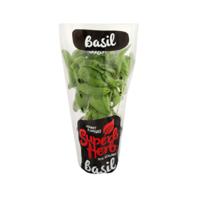 Superb Herb Basil Pot