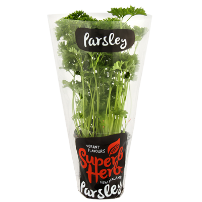 Superb Herb Parsley Pot