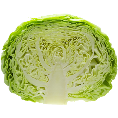 Green Cabbage Half
